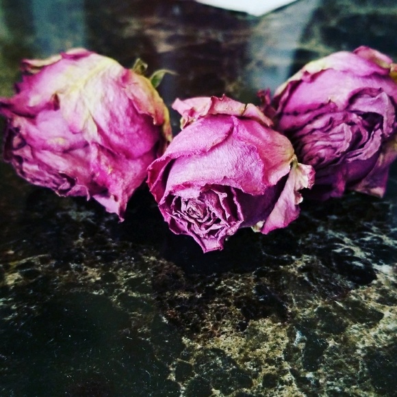 Meet your Posher, Vanja - Picture 1 of 1